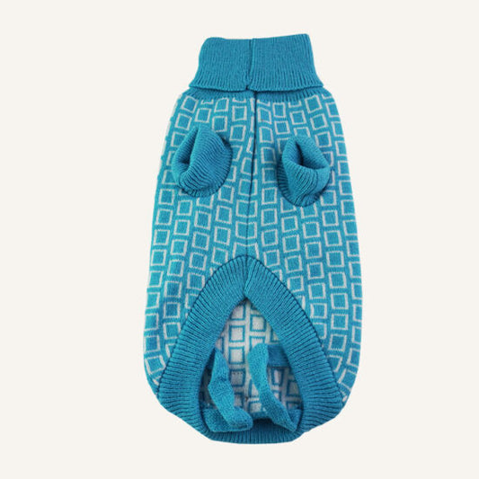 Dan & Sam Grooving dog jumper front detail