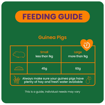 Guinea-Pig-BO-Feeding-Guide