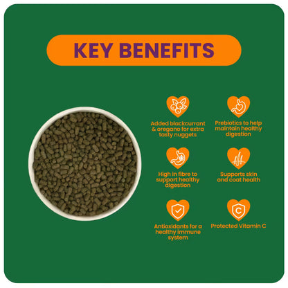 Guinea-Pig-BO-Key-Benefits