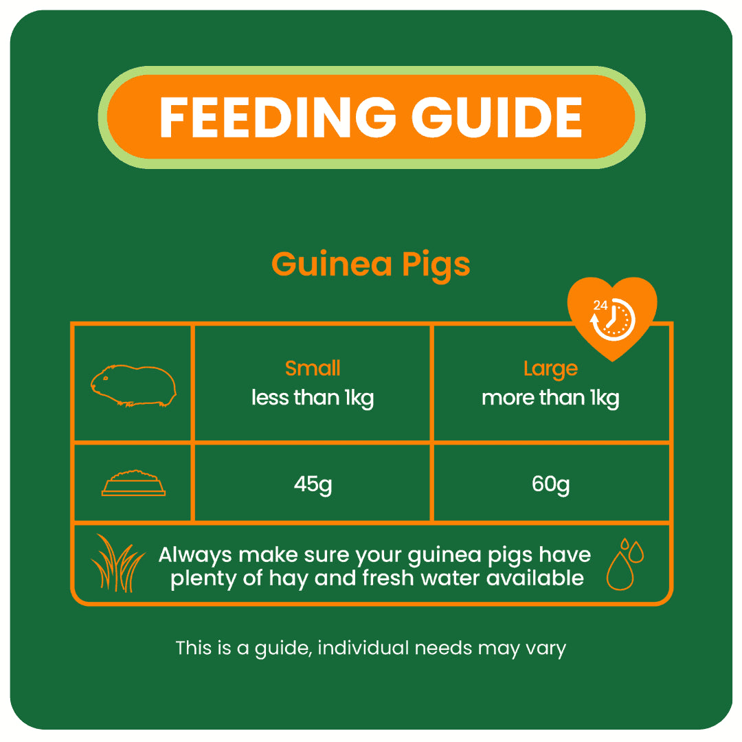 Guinea-Pig-Mint-Feeding-Guide