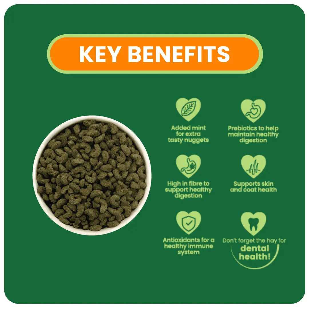 Guinea-Pig-Mint-Key-Benefits