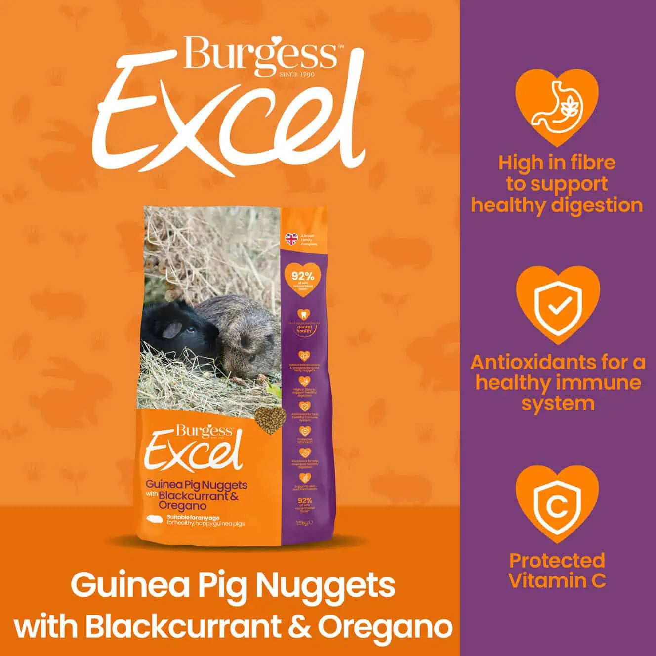 GuineaPig_BO_Nuggets