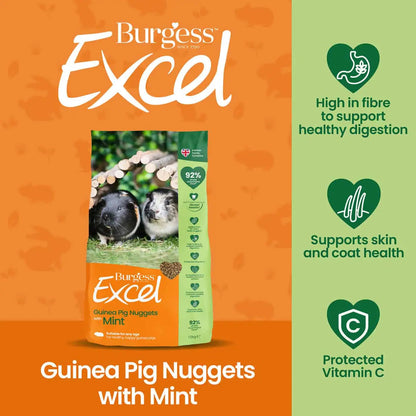 GuineaPig_Mint_Nuggets