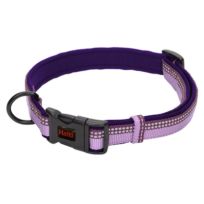 Halti Comfort Collar in purple shown as a standalone dog collar