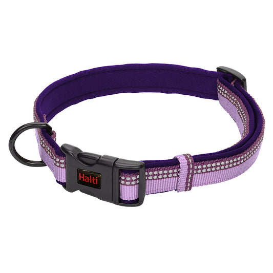 Halti Comfort Collar in purple shown as a standalone dog collar