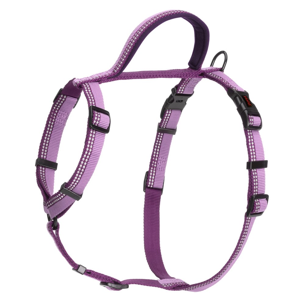 Halti Walking Harness in purple, standalone product shot