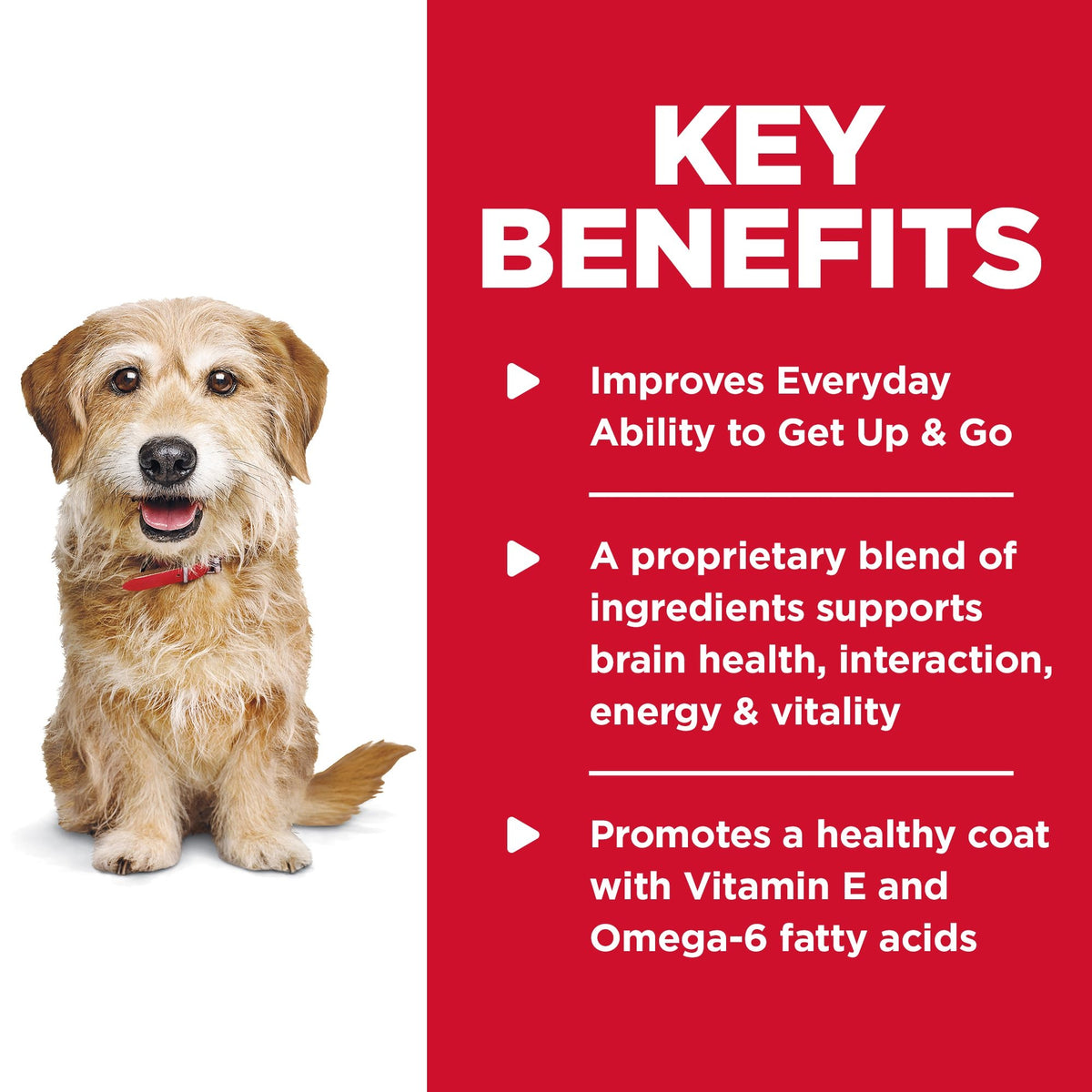 Close up of Hill's Science Diet Senior Vitality Small & Mini kibble