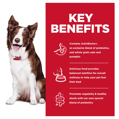 Hill's – Science Diet – Adult Dog (1-6) – Perfect Digestion