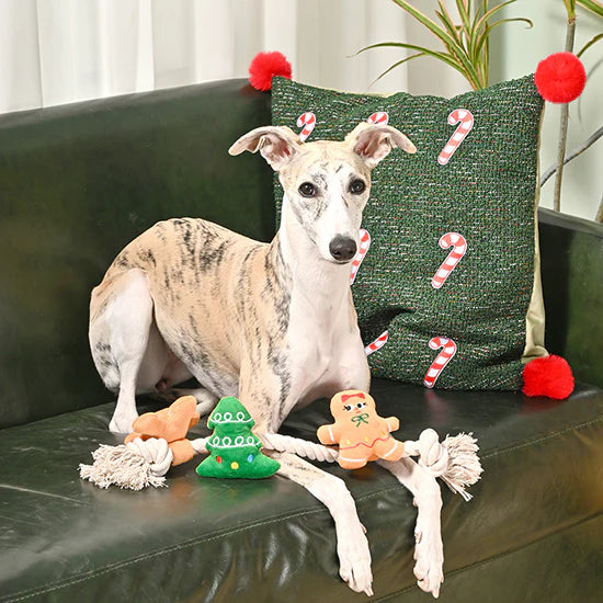 Hugsmart Happy Woofmas Holiday Gingerbread dog toy with Christmas tree biscuit