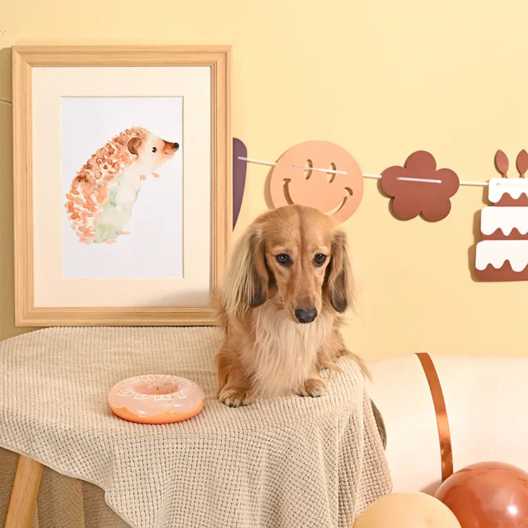 Hugsmart Yappy Birthday TPR Donut Dog Chew Toy with Sweet Scent
