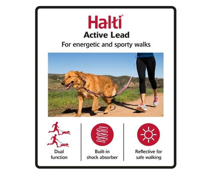 Halti Active Lead key features overview graphic