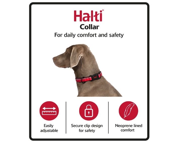 Halti Comfort Collar red product header gallery image