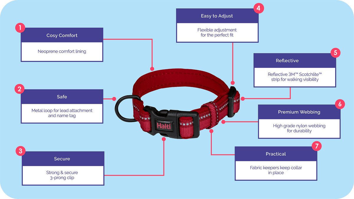 Close-up of Halti Comfort Collar buckle and neoprene padding