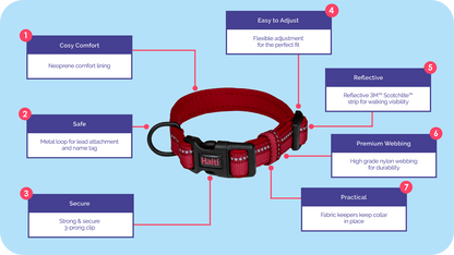 Close-up of Halti Comfort Collar buckle and neoprene padding