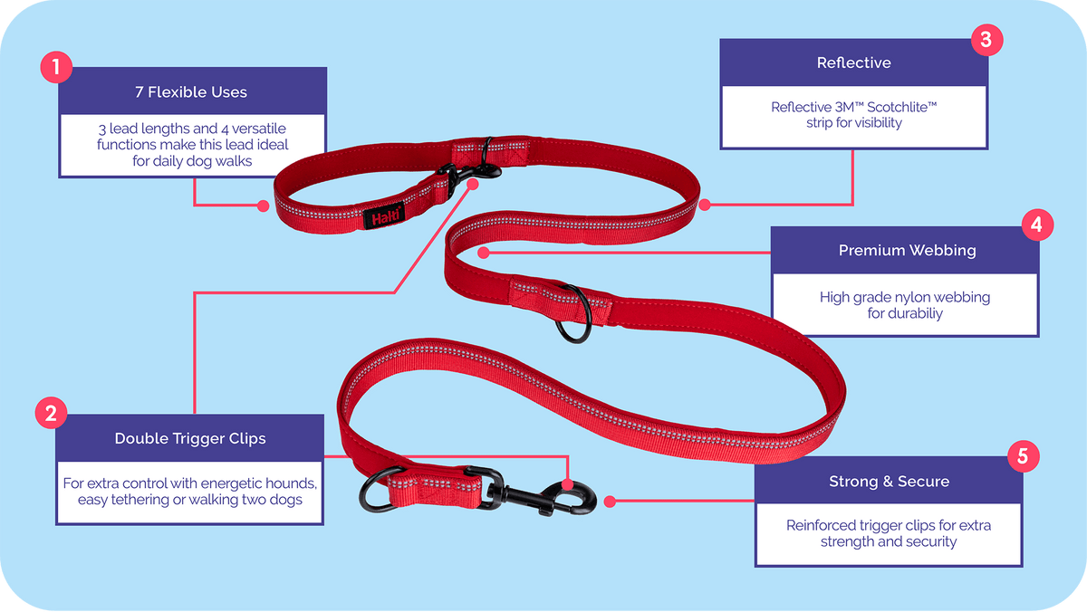 Halti Double Ended Lead close-up of clips and padding