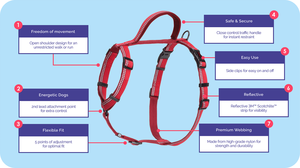 Close-up of Halti Walking Harness features and clips