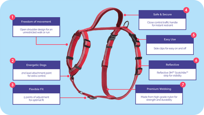 Close-up of Halti Walking Harness features and clips