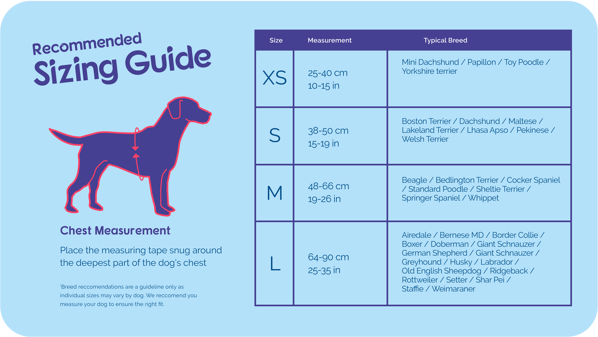 Halti Walking Harness size guide chart