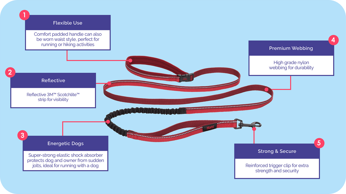 Halti Active Lead close-up of bungee and clip features