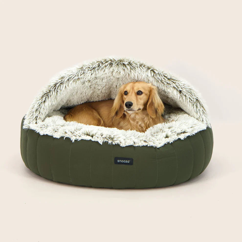 Olive hooded dog bed styled in a living room beside a sofa