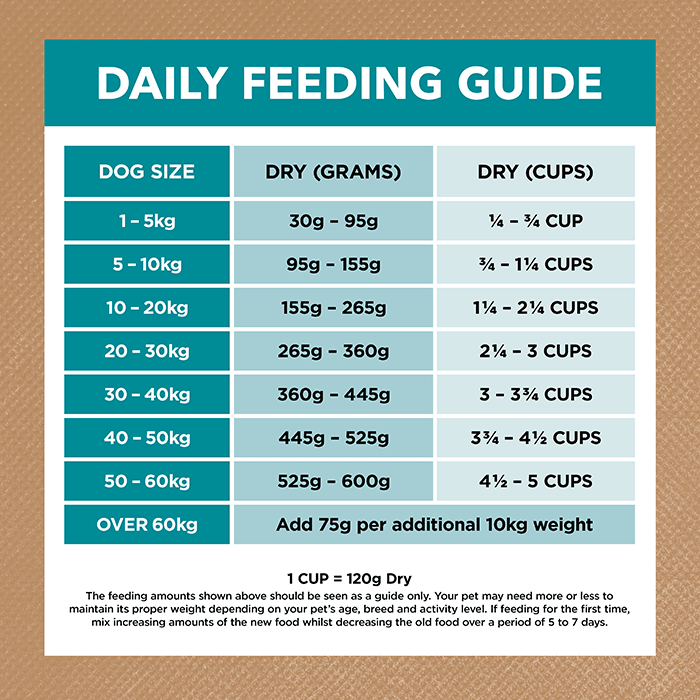 Adult Dog Food – Salmon & Ocean Fish -GRAIN FREE