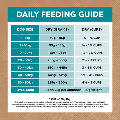 Adult Dog Food – Salmon & Ocean Fish -GRAIN FREE