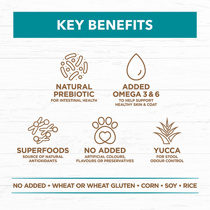 Adult Dog Food – Salmon & Ocean Fish -GRAIN FREE