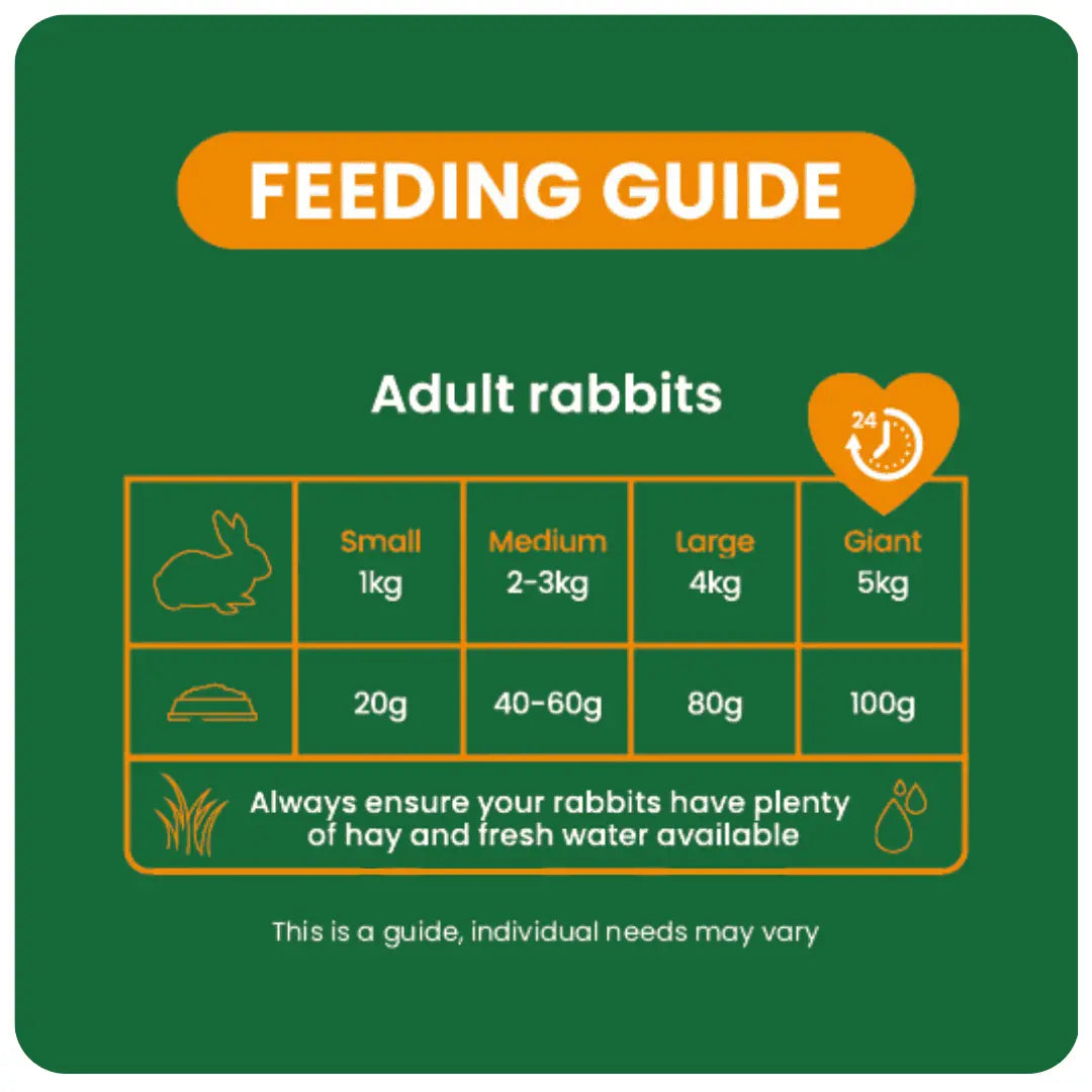Indoor-Feeding-Guide