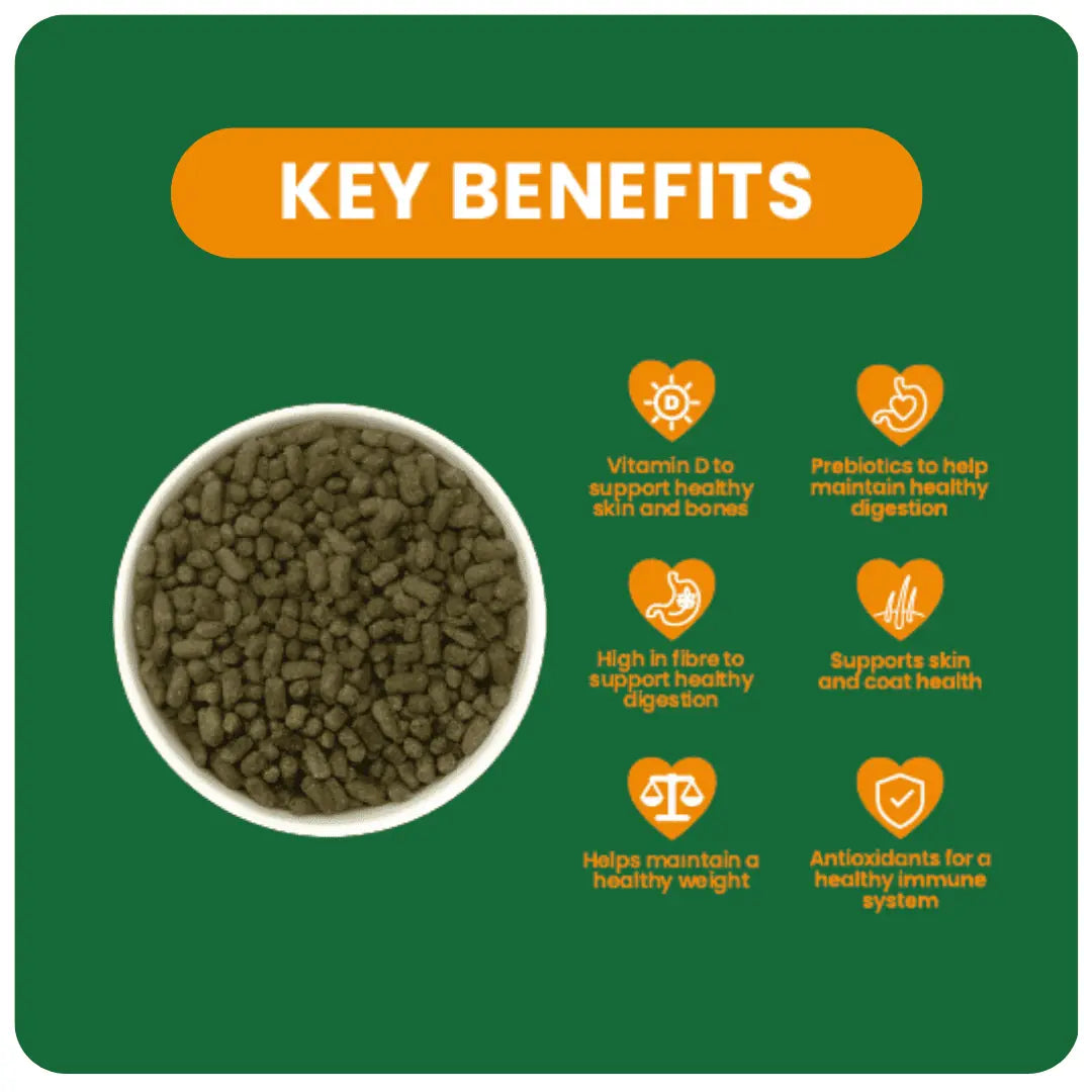 Indoor-Key-Benefits