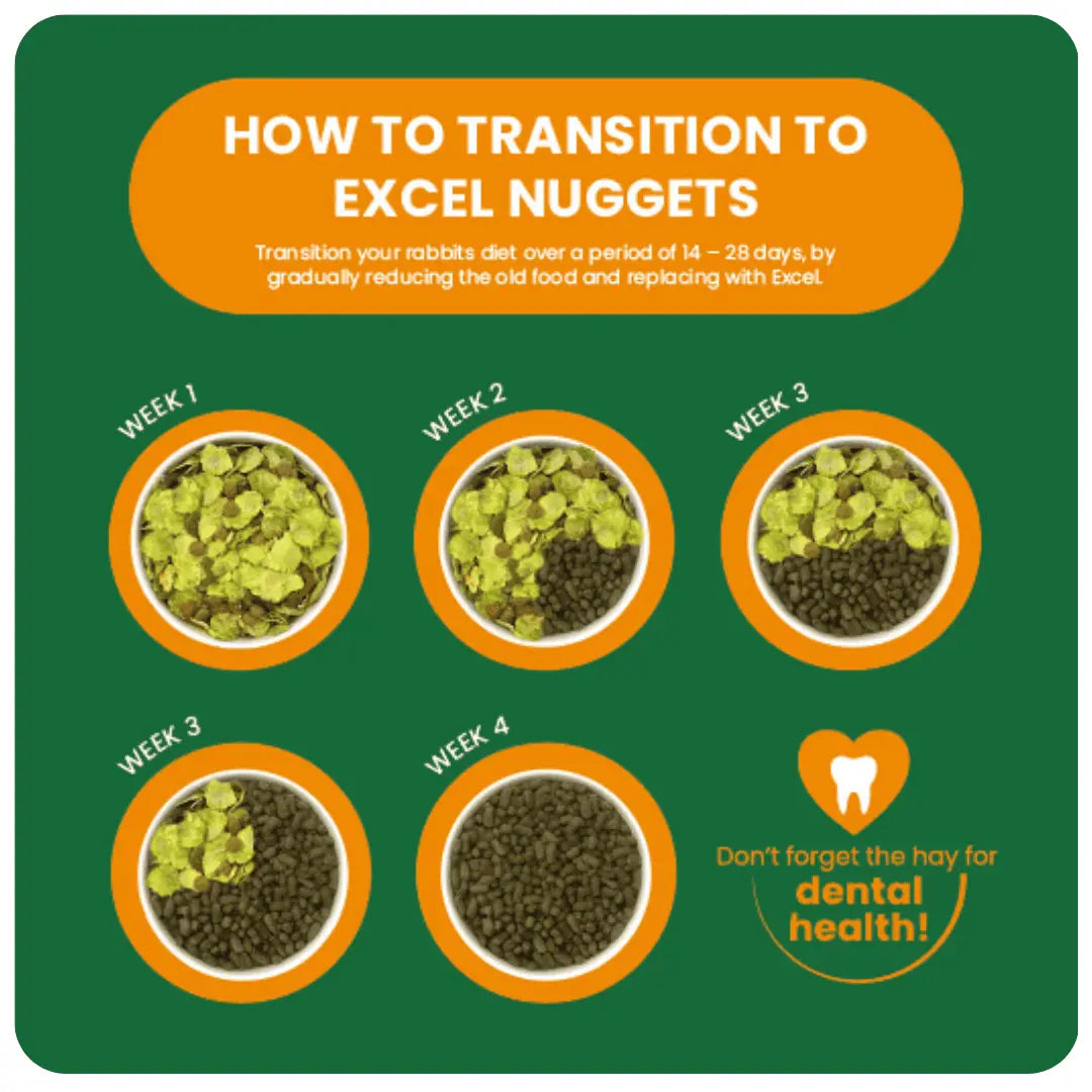 Indoor-Transition-Graphic