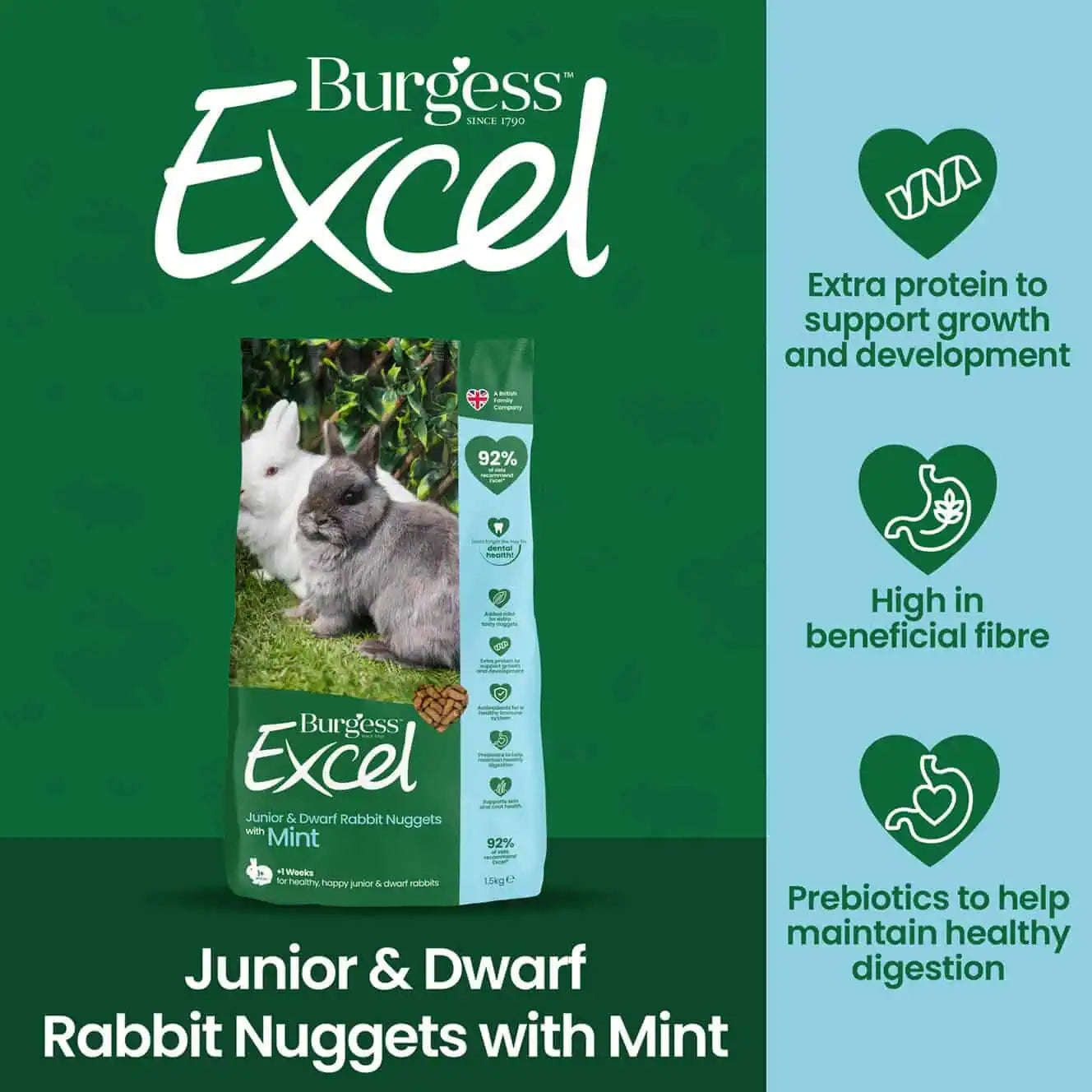 JuniorDwarf_Rabbit_Nuggets