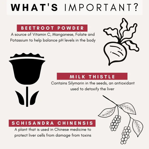 PetzPark Liver Support infographic explaining how it works