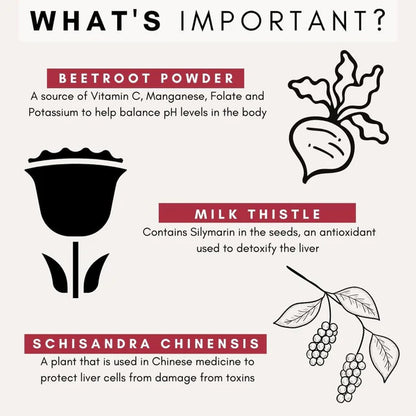 PetzPark Liver Support infographic explaining how it works