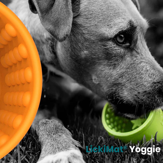 LickiMat Yoggie Pot shown in LickiMat product catalogue