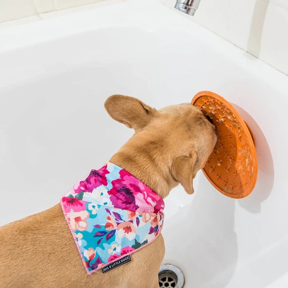 LickiMat Splash orange mat on shower wall