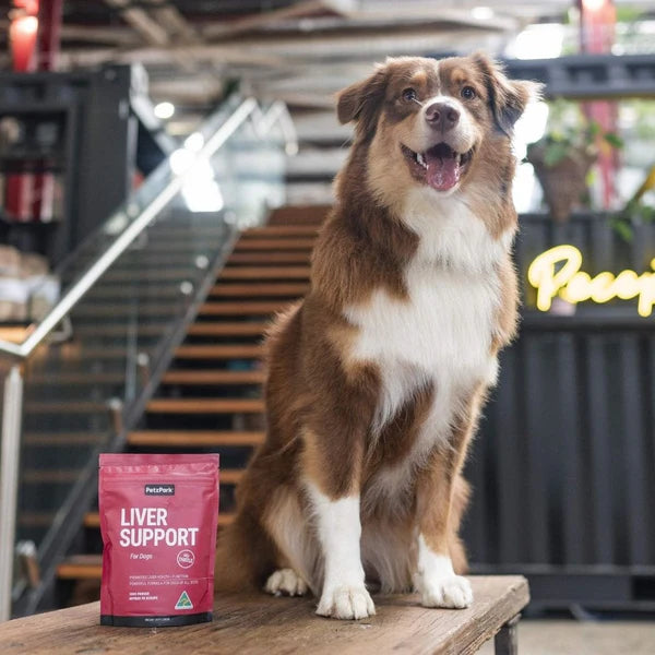 PetzPark Liver Support powder supplement tub for dogs