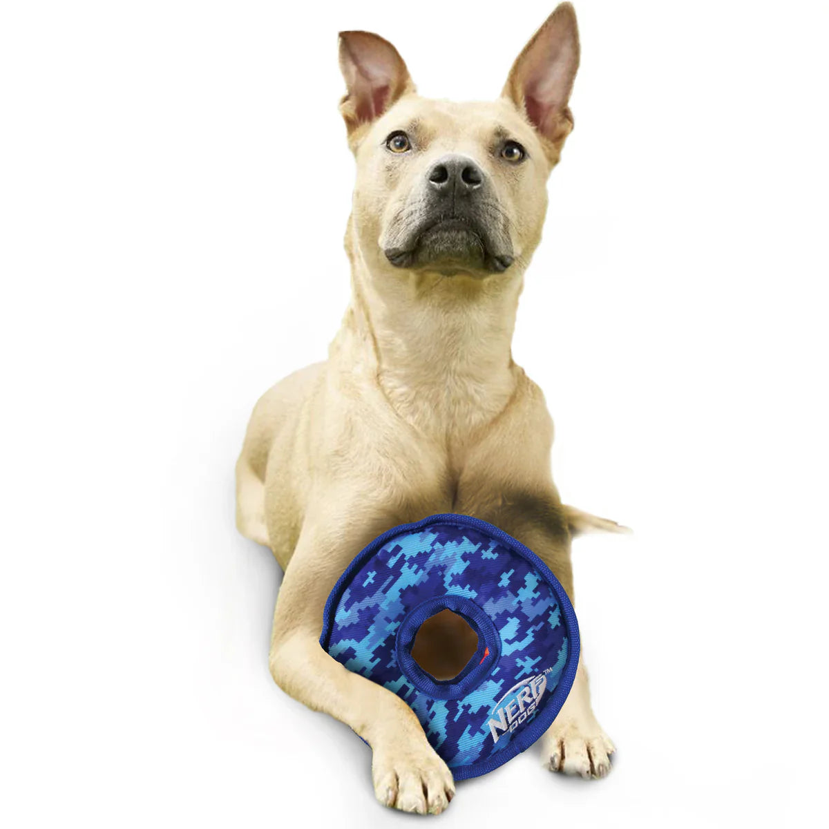 NERF DOG – Toss & Tugg Ring