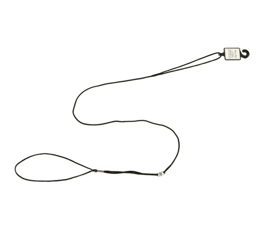 Beau Pets nylon cord show lead for dogs, coiled