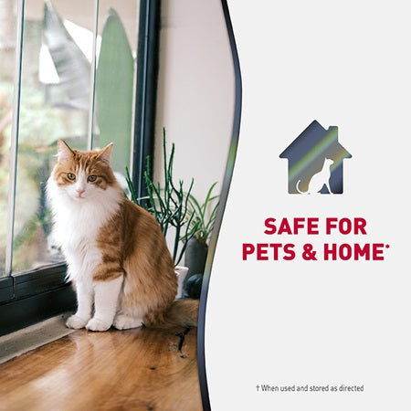 Nature's Miracle Stain & Odor Eliminator safe for pets and home