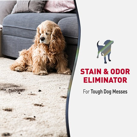 Nature's Miracle Advanced Stain & Odor Eliminator product photo