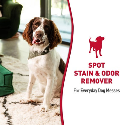 Close-up of Nature's Miracle Stain & Odor Remover treating a stain
