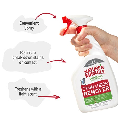 Nature's Miracle Stain & Odor Remover being used on a carpet stain