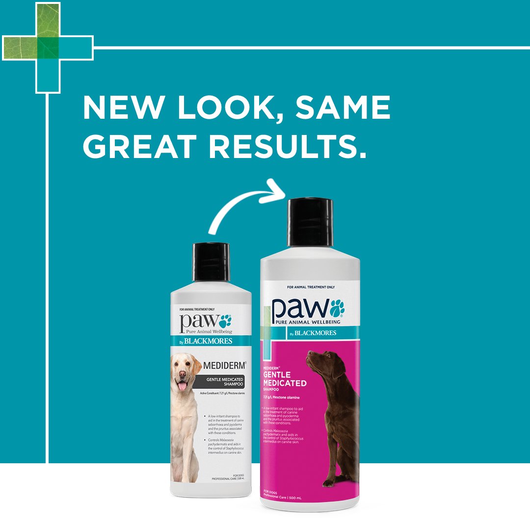 Dog Medicated Shampoo