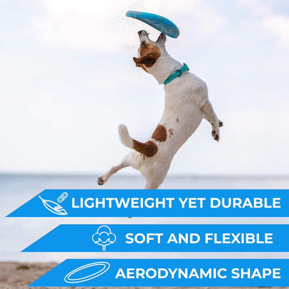 PitchDog - Flying Disk product image 7