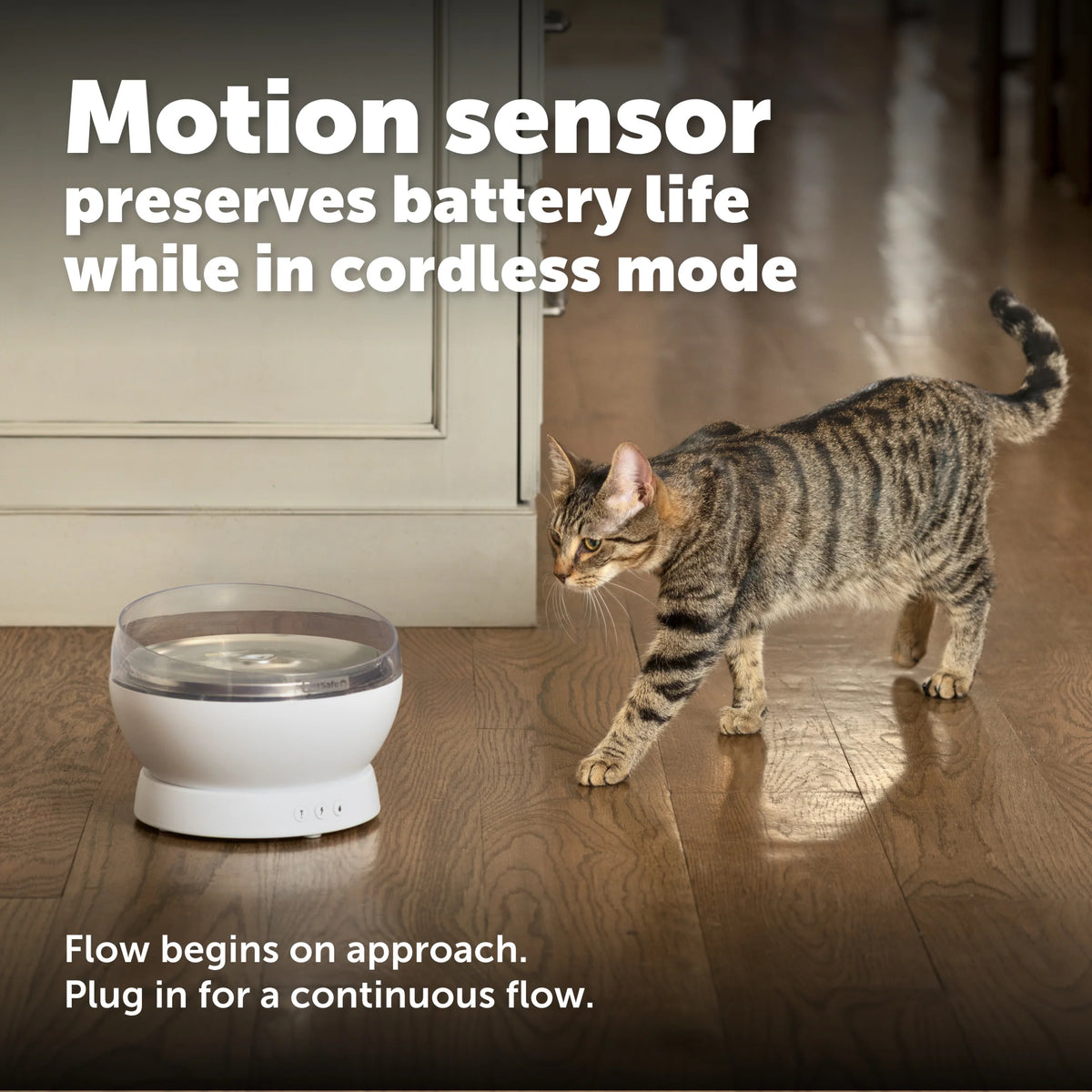 PetSafe – HydroSphere 1.7L Cordless Fountain