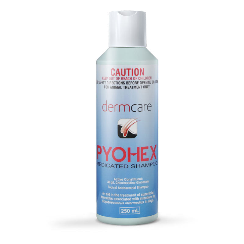 Dermcare Pyohex Medicated Shampoo bottle
