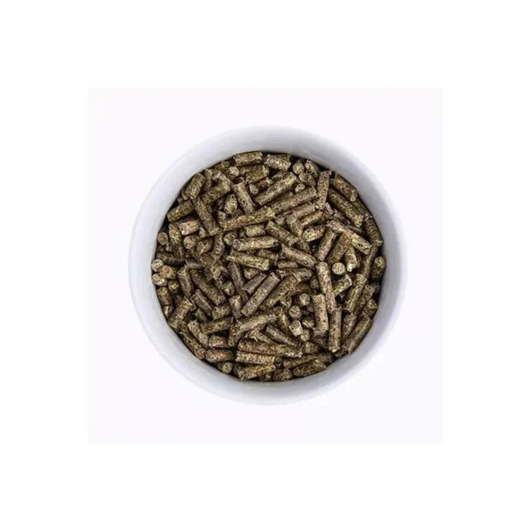 ProDental800g_02