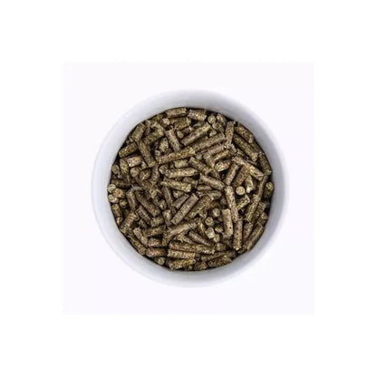 ProDental800g_02