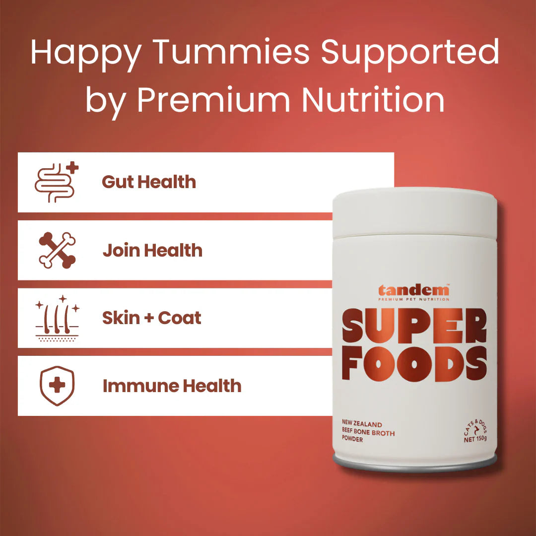 Tandem – Super Foods – New Zealand Beef Bone Broth Powder for Cats & Dogs