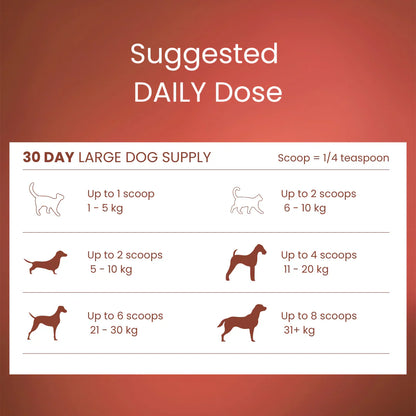 Tandem – Super Foods – New Zealand Beef Bone Broth Powder for Cats & Dogs